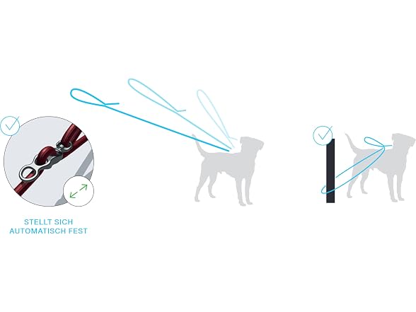 Vario Comfort Leash Ruby S