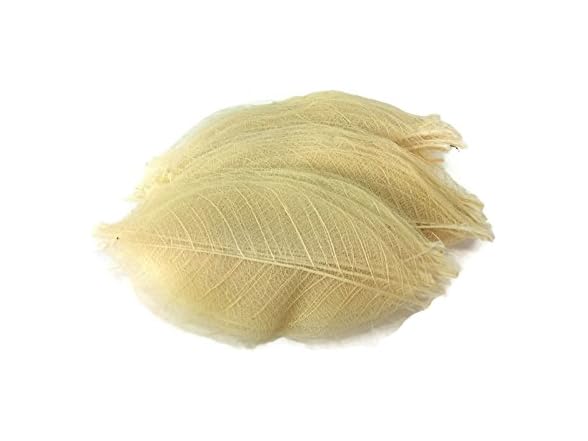 Natural Rubber Skeleton Leaves