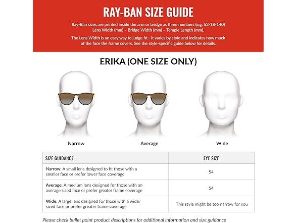 Ray-Ban RB4171 Erika Round Sunglasses