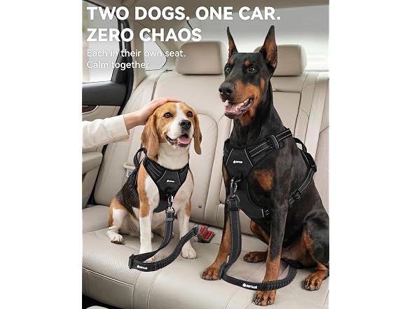 Joytale 3-in-1 Bungee Dog Seat Belt
