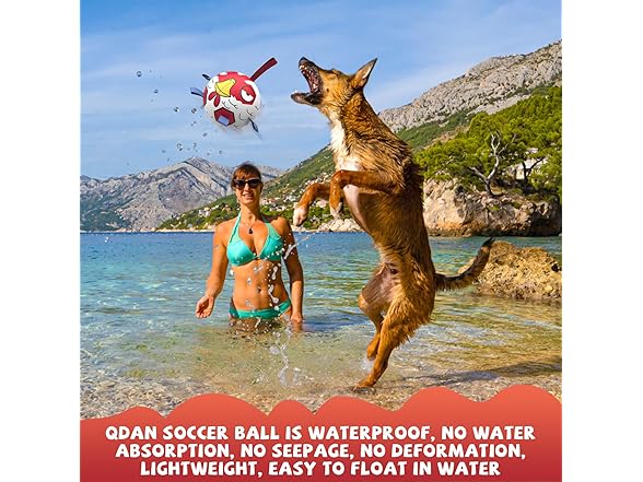 QDAN Chicken Dog Toys Soccer Ball with Straps