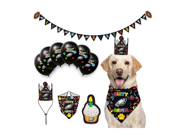 Pets First NFL Dallas Cowboys Dog Birthday Party Set 10pcs w