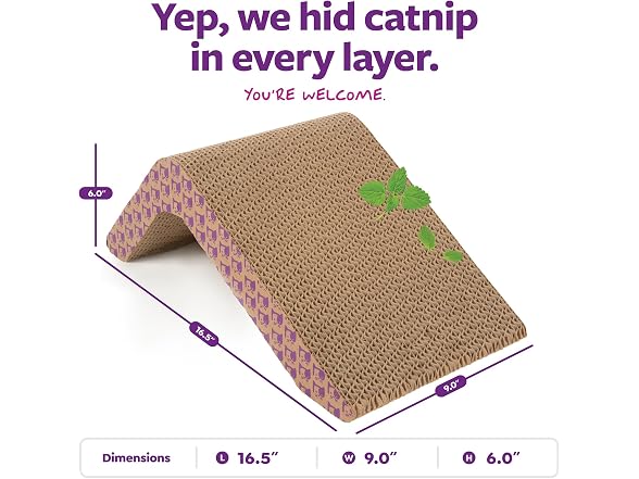 SmartyKat Scratch Ladder Angled Cat Scratche