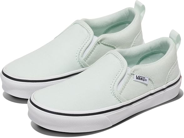 Vans Asher Slip-On Shoe