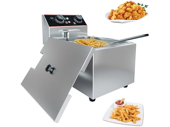 Professional Electric Deep Fryer for Home 8L
