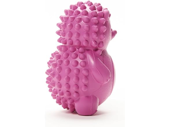 Friends Forever Squeaky Dog Toys with Tennis Ball