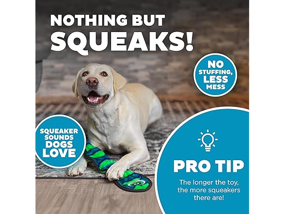 Outward Hound Durablez Large Snake Toy