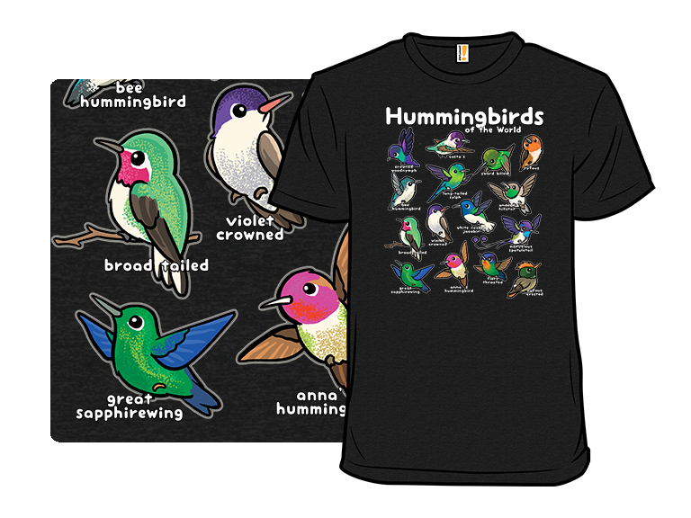 World Hummingbirds - Gallery 3