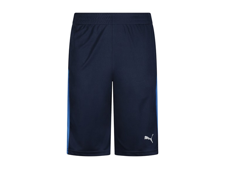 Puma Boys Form Stripe Short