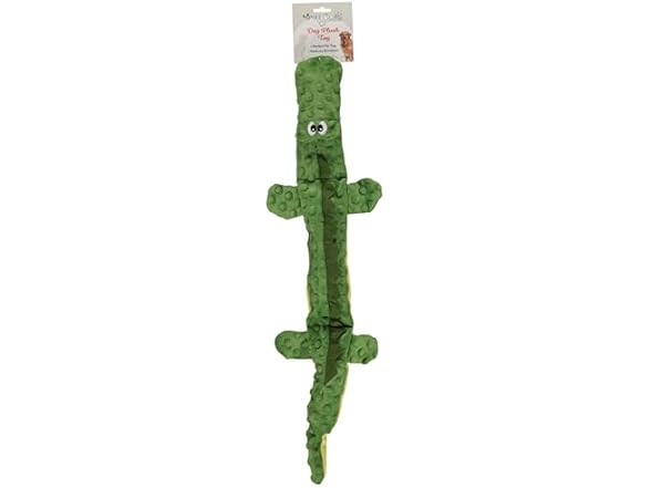 Alligator