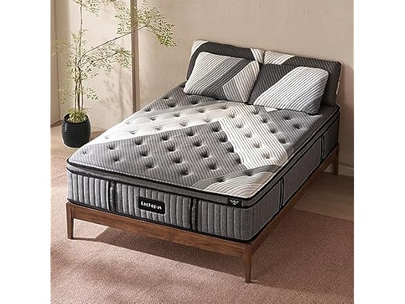 Lechepus 14" Hybrid Mattress Queen