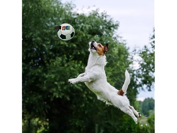 Littlearth Pet Soccer Ball Toy