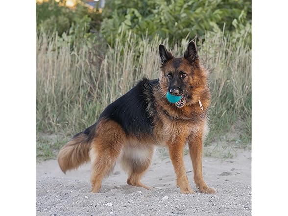 Chew King PB Flavored Rubber Ball 2-Pk