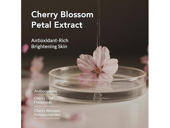 Kustie Cherry Blossom Body Wash 16.9oz