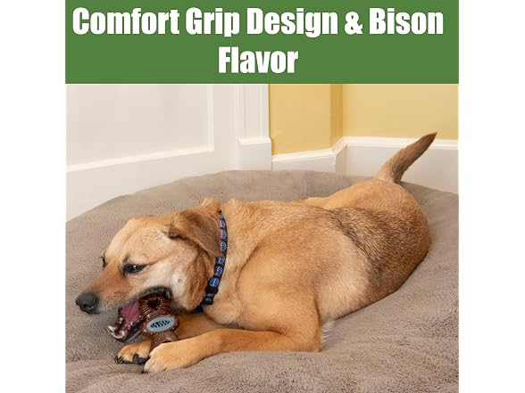 SPOT Bam-Bones Dental Pacifier Dog Chew Toy, Bison