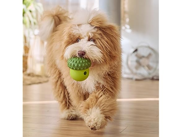SPOT Treat Tumbler Broccoli – Freezable & Fillable