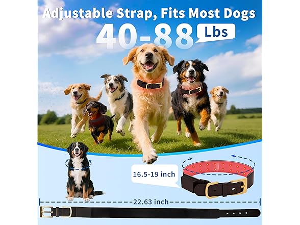 MIAOTONG Red Light Therapy Collar