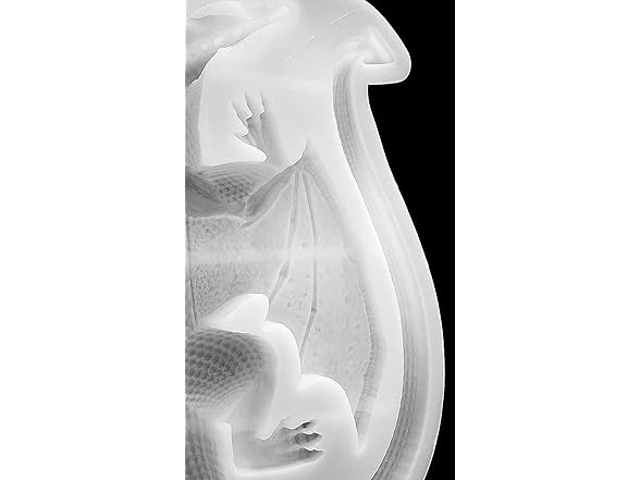 Generic Dragon Silicone Mold, White