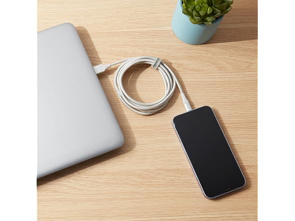 Amazon Basics USB-A to Lightning Cable