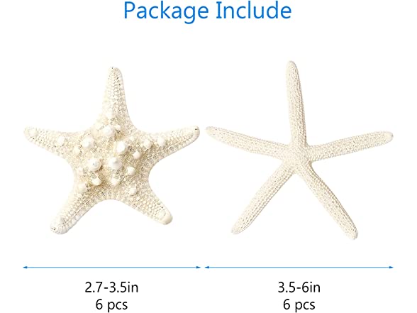 UEIEU 12 PCS Starfish Decor | 2.5-6 Inch