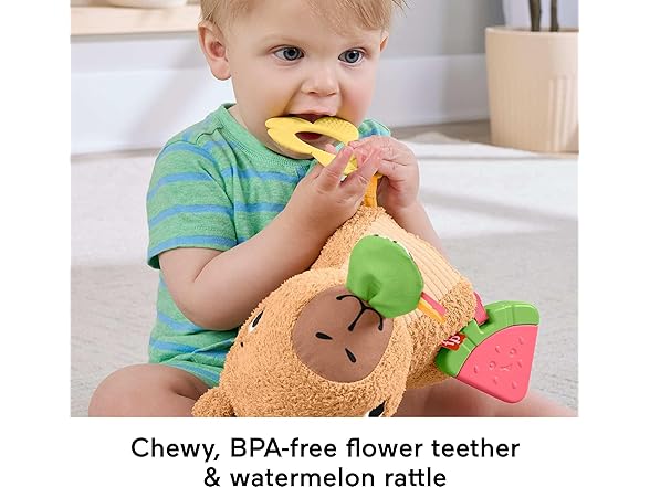 Fisher-Price Baby Sensory Toy Capybara