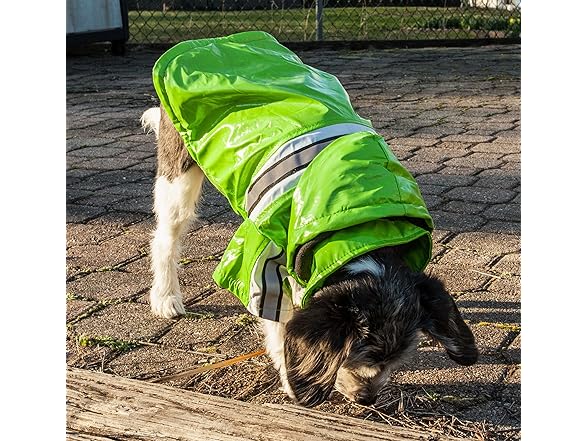 Pet Life ® 'Reflecta-Glow' Dog Raincoat