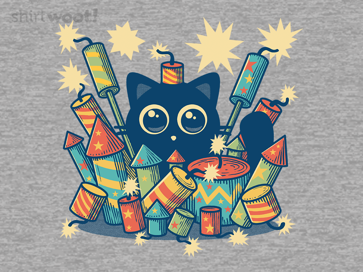 Explosive Kitty - Gallery 4