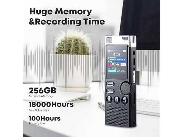 Professional Digital Voice Recorder | 264GB