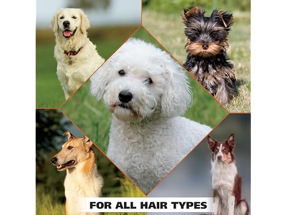 Wahl Refresh Massive Dog Wipes, Lavender Chamomile