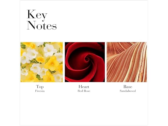 Red Door/Elizabeth Arden Dusting Powder 5.3 Oz