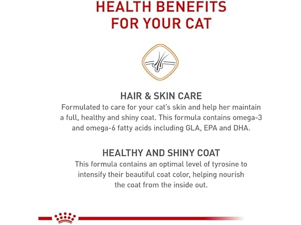 Hair & Skin Care Dry Cat Food