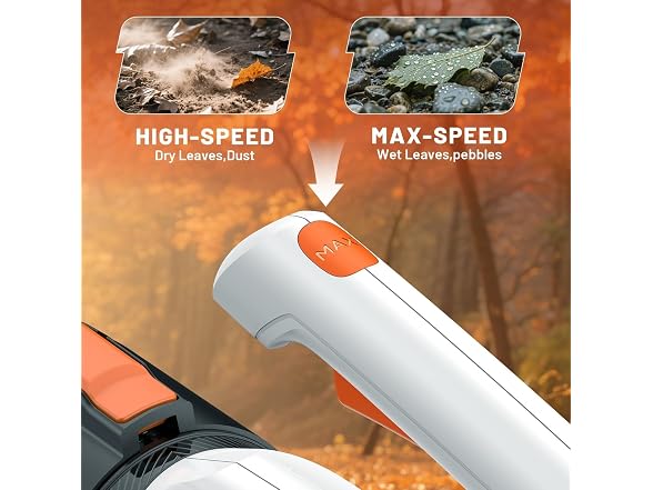 Litheli Cordless Leaf Blower with 2 Batteries