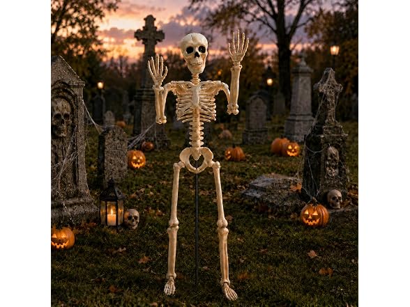 Anrtrog 36" Halloween Skeleton W/ Stand