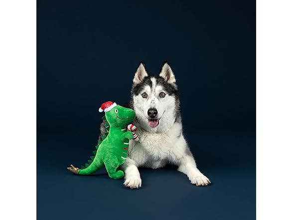 Fringe Studio Pet Toy, REX-MAS