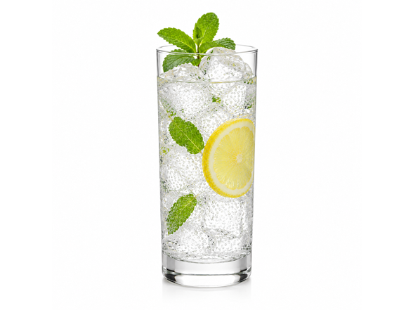 Williams Sonoma Glassware Set (High Ball)