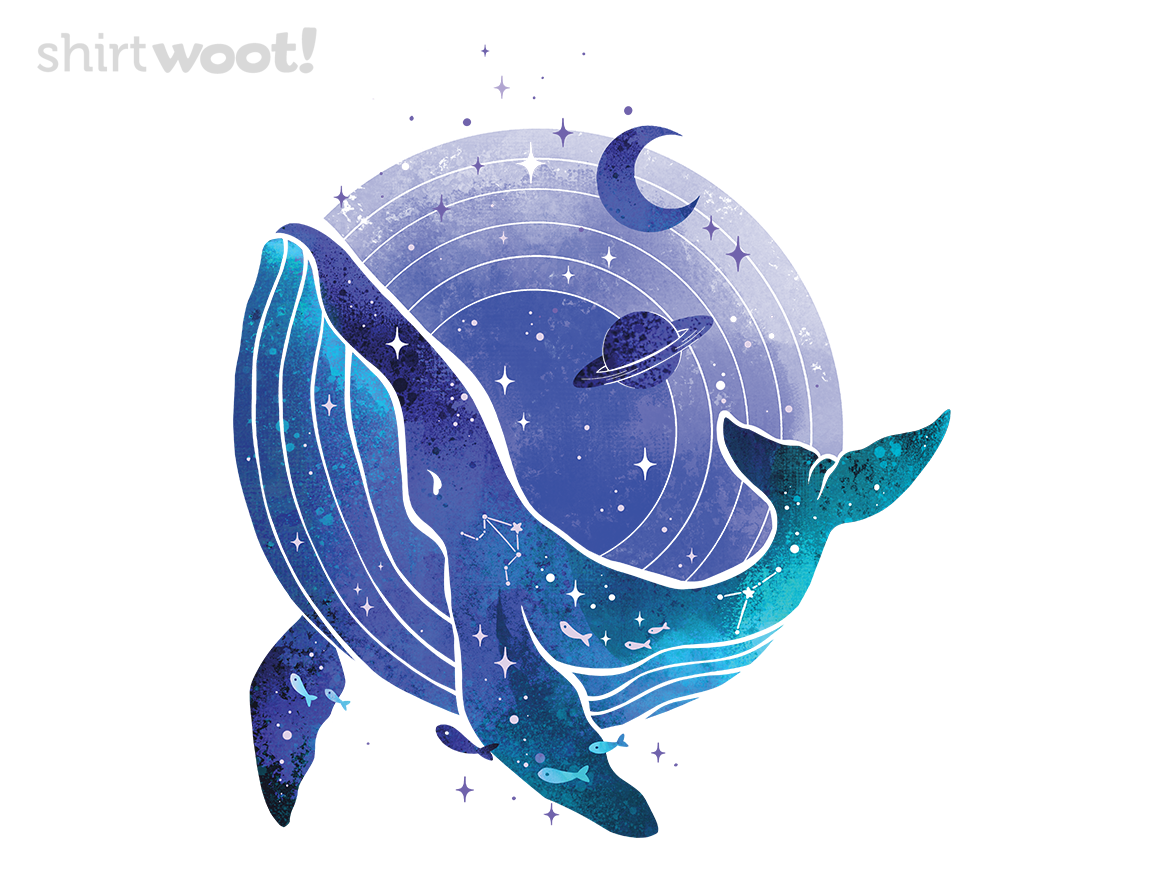 Universe Music - Gallery 4