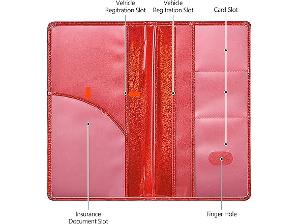 Car Registration and Insurance Holder