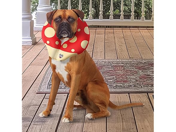 BigMouth Mushroom Inflatable Dog Collar