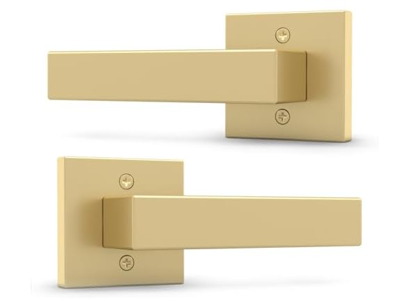 Satin Brass Dummy