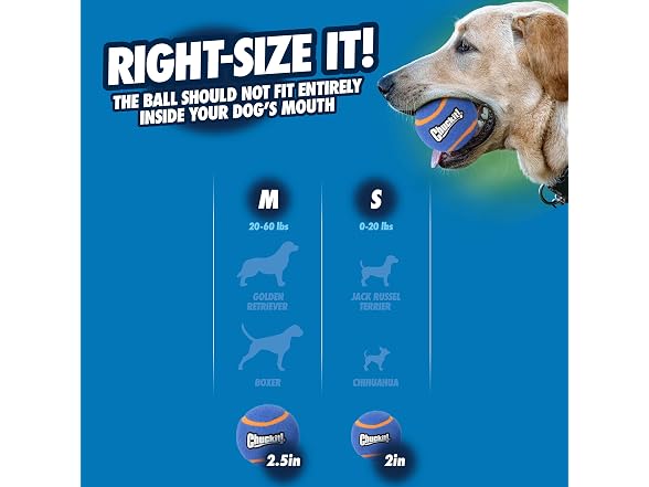 Chuckit! Squeaker Tennis Ball Dog Toy, X-Large