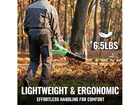 WORKPROX Leaf Blower Cordless w/Battery and Chgr