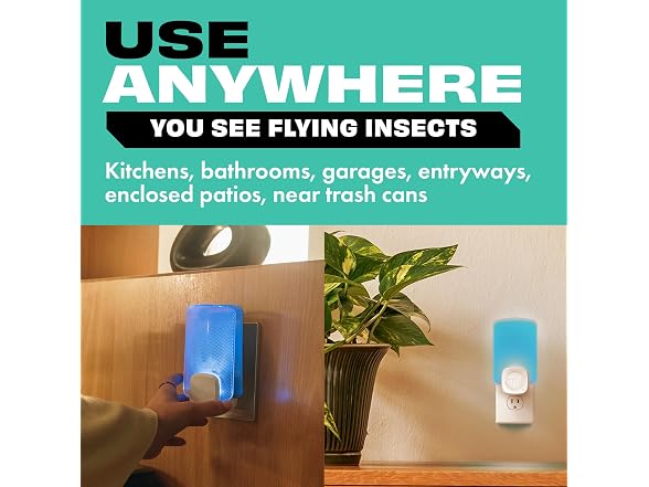 STEM Insect Trap Fruit Fly Blue4-Pack