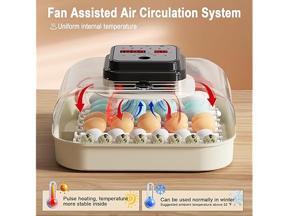 CoInceptus 35 Eggs Incubators