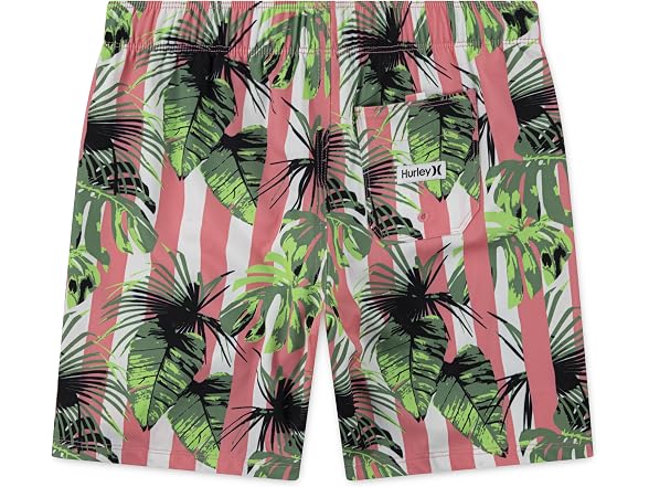 Hurley Vacay Stripe Pull On Swim Trunk (Small)