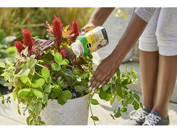 Miracle-Gro Shake 'N Feed All Purpose, 1 lb. (6-pack)
