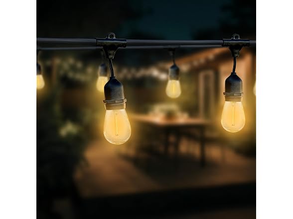 Globe 24' S14 Dublin LED Vintage String 12 Bulb Set