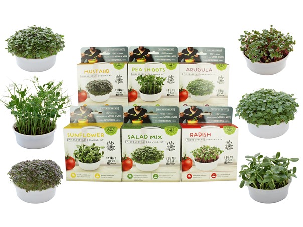 True Leaf Mini Microgreen Growing Kits
