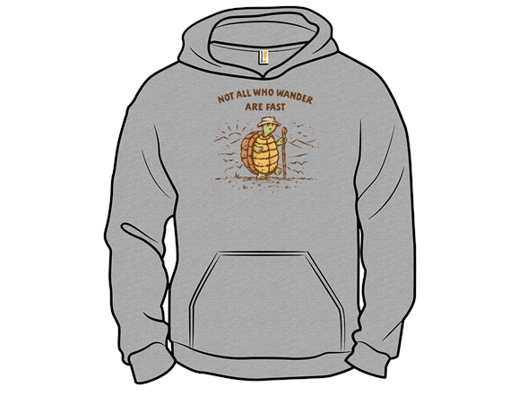 Not All Who Wander Are Fast