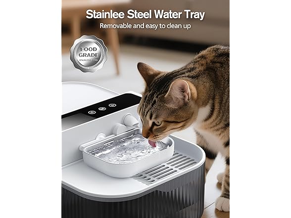 Wireless Cat Water Fountain with No Filters