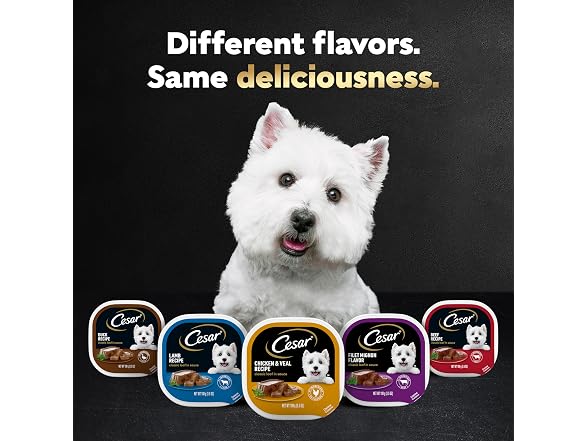 Cesar Classic Loaf in Sauce Wet Dog Food, Filet Mi